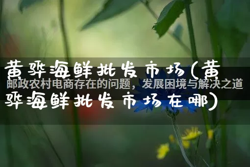 黄骅海鲜批发市场(黄骅海鲜批发市场在哪)_https://www.rzcpcj.com_淘宝运营_第1张