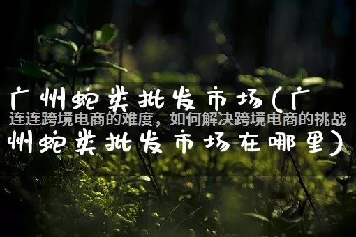 广州蛇类批发市场(广州蛇类批发市场在哪里)_https://www.rzcpcj.com_代运营_第1张