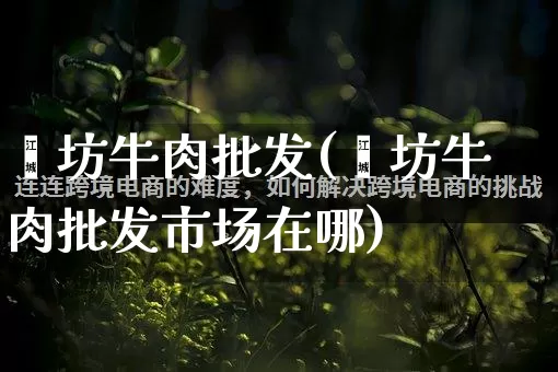 潍坊牛肉批发(潍坊牛肉批发市场在哪)_https://www.rzcpcj.com_天猫运营_第1张