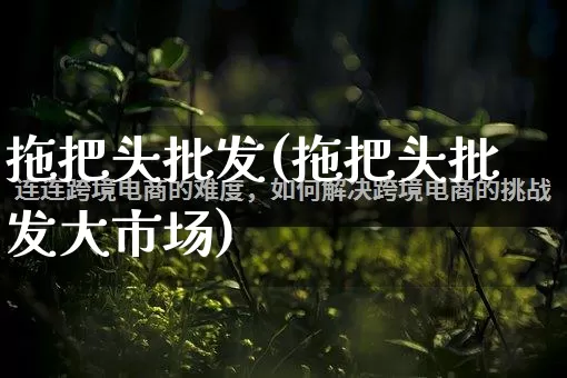 拖把头批发(拖把头批发大市场)_https://www.rzcpcj.com_开网店_第1张
