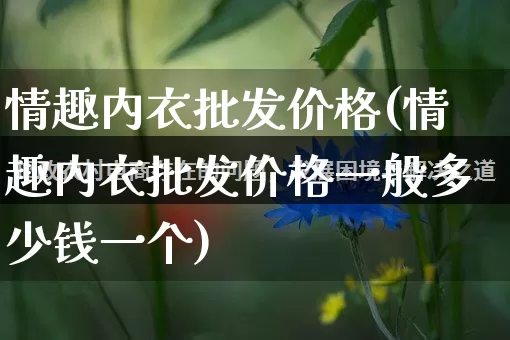 情趣内衣批发价格(情趣内衣批发价格一般多少钱一个)_https://www.rzcpcj.com_抖音快手_第1张