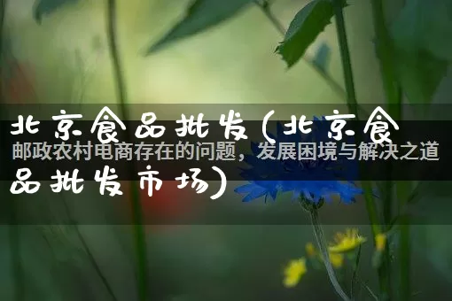 北京食品批发(北京食品批发市场)_https://www.rzcpcj.com_淘宝运营_第1张