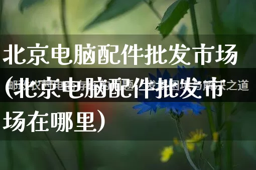 北京电脑配件批发市场(北京电脑配件批发市场在哪里)_https://www.rzcpcj.com_抖音快手_第1张