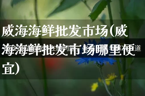 威海海鲜批发市场(威海海鲜批发市场哪里便宜)_https://www.rzcpcj.com_抖音快手_第1张