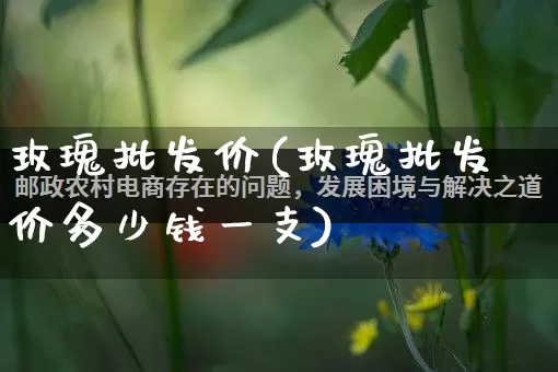 玫瑰批发价(玫瑰批发价多少钱一支)_https://www.rzcpcj.com_天猫运营_第1张