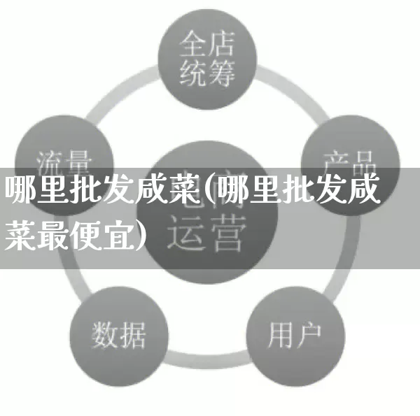 哪里批发咸菜(哪里批发咸菜最便宜)_https://www.rzcpcj.com_直通车_第1张