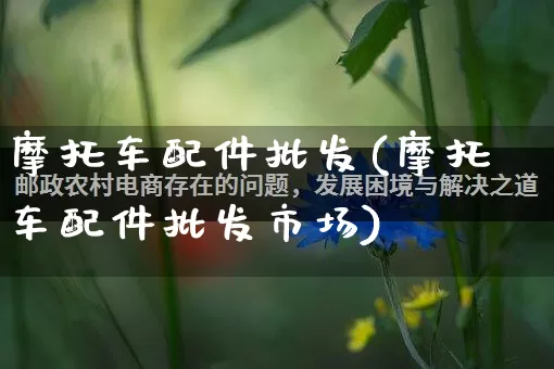 摩托车配件批发(摩托车配件批发市场)_https://www.rzcpcj.com_抖音快手_第1张