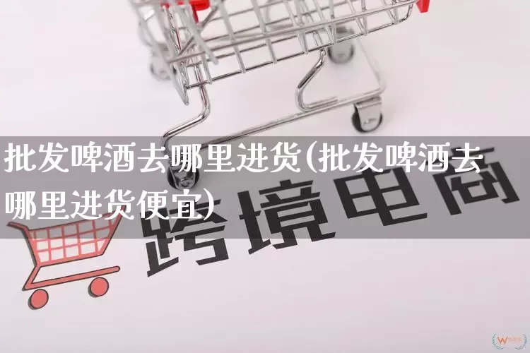 批发啤酒去哪里进货(批发啤酒去哪里进货便宜)_https://www.rzcpcj.com_抖音快手_第1张