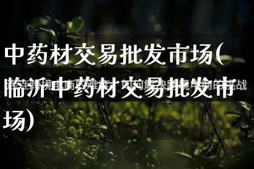 中药材交易批发市场(临沂中药材交易批发市场)_https://www.rzcpcj.com_直通车_第1张