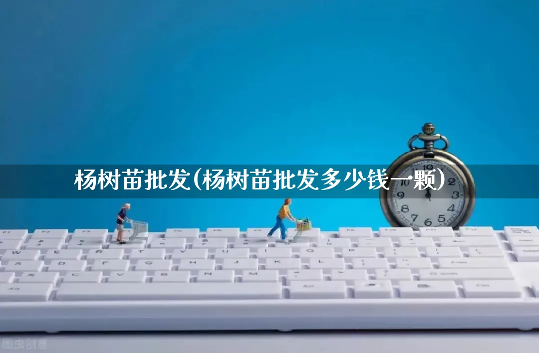 杨树苗批发(杨树苗批发多少钱一颗)_https://www.rzcpcj.com_直通车_第1张