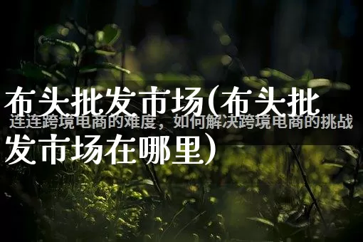 布头批发市场(布头批发市场在哪里)_https://www.rzcpcj.com_淘宝运营_第1张