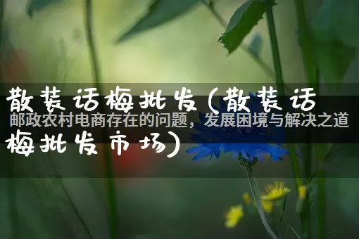散装话梅批发(散装话梅批发市场)_https://www.rzcpcj.com_淘宝运营_第1张