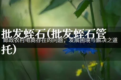 批发蛭石(批发蛭石管托)_https://www.rzcpcj.com_代运营_第1张