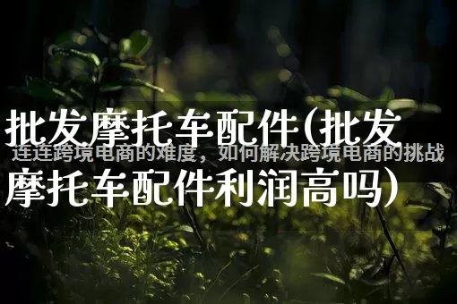 批发摩托车配件(批发摩托车配件利润高吗)_https://www.rzcpcj.com_直通车_第1张