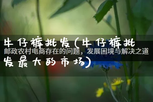 牛仔裤批发(牛仔裤批发最大的市场)_https://www.rzcpcj.com_天猫运营_第1张