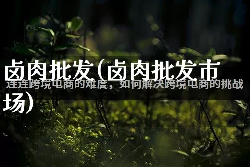 卤肉批发(卤肉批发市场)_https://www.rzcpcj.com_开网店_第1张
