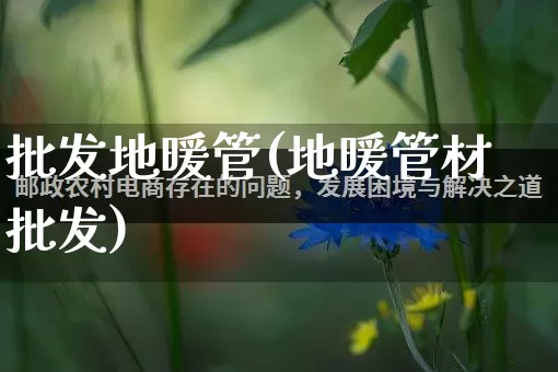 批发地暖管(地暖管材批发)_https://www.rzcpcj.com_天猫运营_第1张