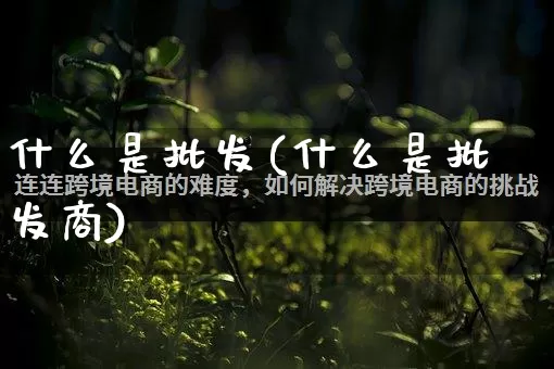 什么是批发(什么是批发商)_https://www.rzcpcj.com_开网店_第1张