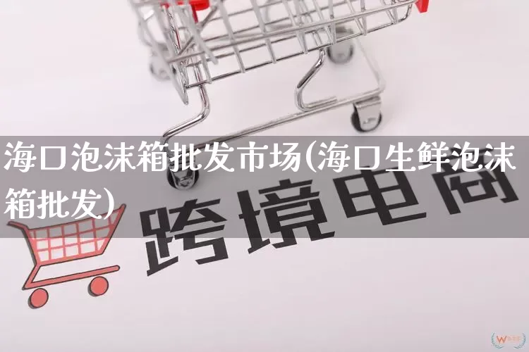 海口泡沫箱批发市场(海口生鲜泡沫箱批发)_https://www.rzcpcj.com_直通车_第1张