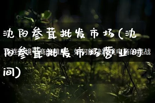 沈阳参茸批发市场(沈阳参茸批发市场营业时间)_https://www.rzcpcj.com_抖音快手_第1张