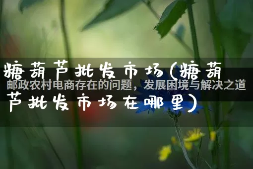 糖葫芦批发市场(糖葫芦批发市场在哪里)_https://www.rzcpcj.com_抖音快手_第1张