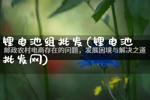 锂电池组批发(锂电池批发网)_https://www.rzcpcj.com_抖音快手_第1张