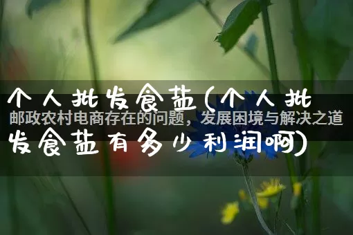 个人批发食盐(个人批发食盐有多少利润啊)_https://www.rzcpcj.com_开网店_第1张