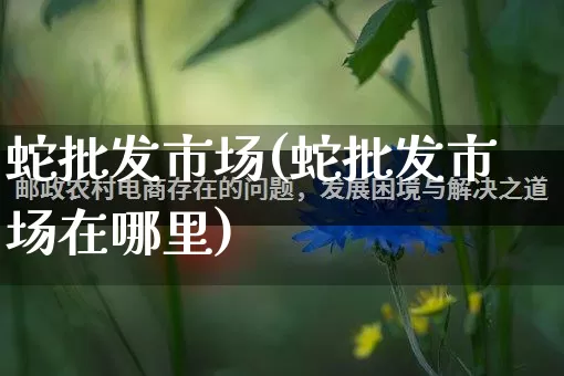 蛇批发市场(蛇批发市场在哪里)_https://www.rzcpcj.com_淘宝运营_第1张