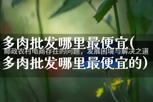 多肉批发哪里最便宜(多肉批发哪里最便宜的)_https://www.rzcpcj.com_淘宝运营_第1张