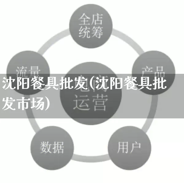 沈阳餐具批发(沈阳餐具批发市场)_https://www.rzcpcj.com_天猫运营_第1张