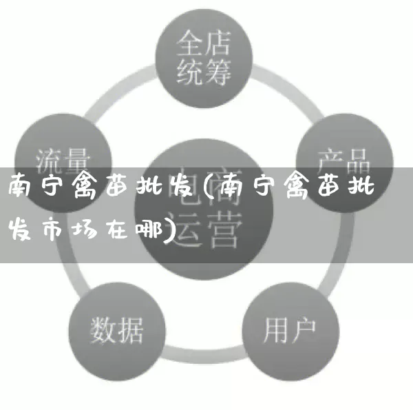 南宁禽苗批发(南宁禽苗批发市场在哪)_https://www.rzcpcj.com_抖音快手_第1张