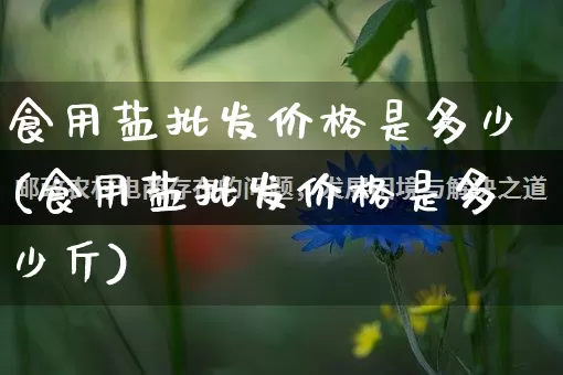 食用盐批发价格是多少(食用盐批发价格是多少斤)_https://www.rzcpcj.com_直通车_第1张