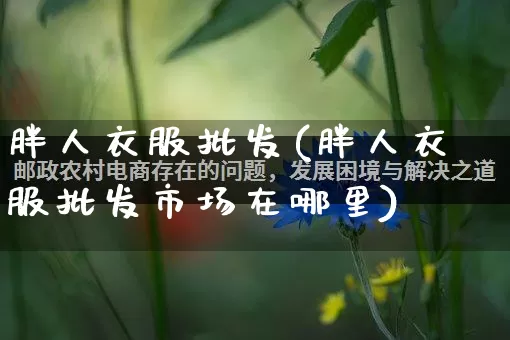 胖人衣服批发(胖人衣服批发市场在哪里)_https://www.rzcpcj.com_代运营_第1张