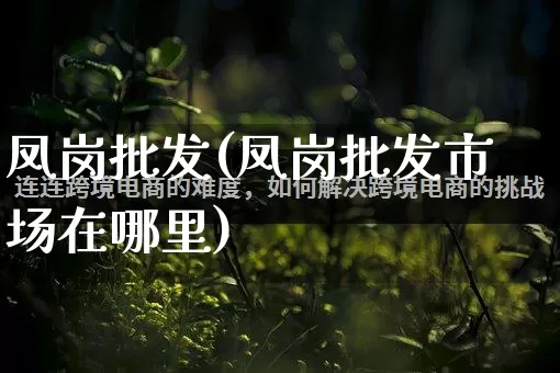 凤岗批发(凤岗批发市场在哪里)_https://www.rzcpcj.com_抖音快手_第1张