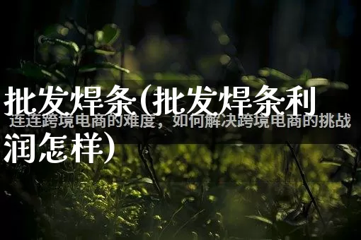 批发焊条(批发焊条利润怎样)_https://www.rzcpcj.com_开网店_第1张