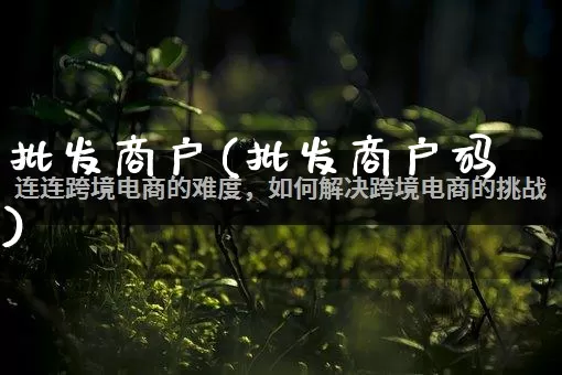 批发商户(批发商户码)_https://www.rzcpcj.com_抖音快手_第1张