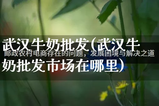 武汉牛奶批发(武汉牛奶批发市场在哪里)_https://www.rzcpcj.com_代运营_第1张