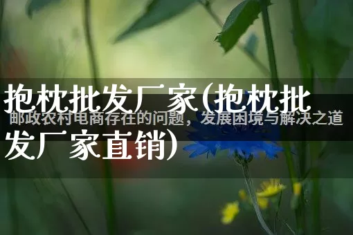 抱枕批发厂家(抱枕批发厂家直销)_https://www.rzcpcj.com_直通车_第1张