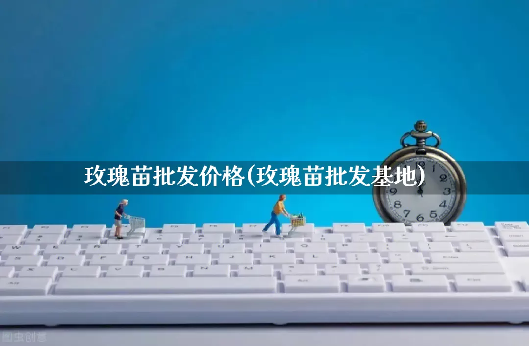 玫瑰苗批发价格(玫瑰苗批发基地)_https://www.rzcpcj.com_抖音快手_第1张
