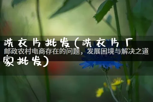 洗衣片批发(洗衣片厂家批发)_https://www.rzcpcj.com_天猫运营_第1张