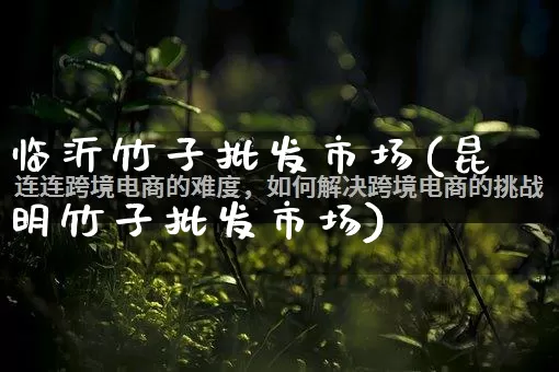 临沂竹子批发市场(昆明竹子批发市场)_https://www.rzcpcj.com_抖音快手_第1张