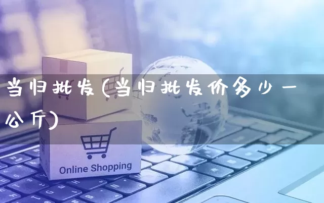 当归批发(当归批发价多少一公斤)_https://www.rzcpcj.com_代运营_第1张