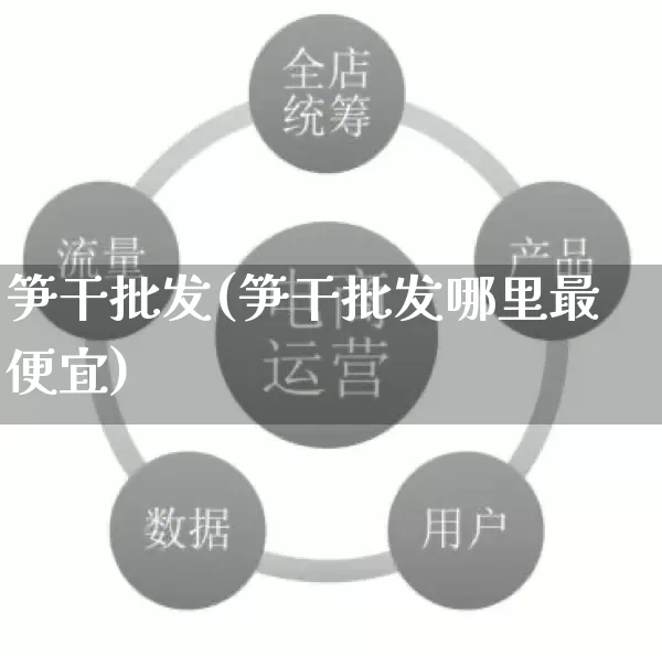 笋干批发(笋干批发哪里最便宜)_https://www.rzcpcj.com_直通车_第1张