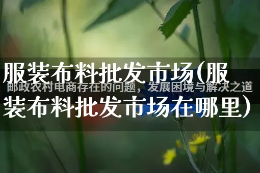 服装布料批发市场(服装布料批发市场在哪里)_https://www.rzcpcj.com_淘宝运营_第1张