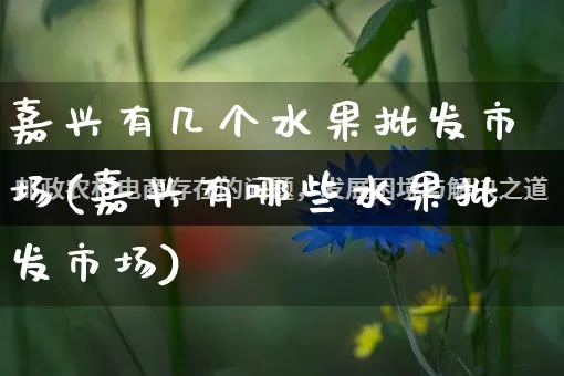 嘉兴有几个水果批发市场(嘉兴有哪些水果批发市场)_https://www.rzcpcj.com_淘宝运营_第1张