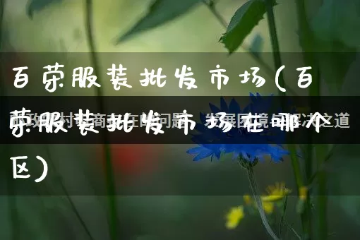 百荣服装批发市场(百荣服装批发市场在哪个区)_https://www.rzcpcj.com_淘宝运营_第1张