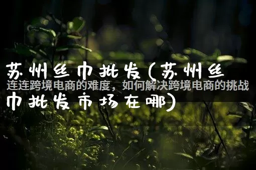 苏州丝巾批发(苏州丝巾批发市场在哪)_https://www.rzcpcj.com_天猫运营_第1张