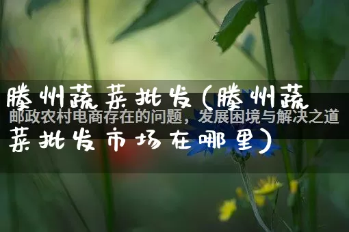 滕州蔬菜批发(滕州蔬菜批发市场在哪里)_https://www.rzcpcj.com_抖音快手_第1张
