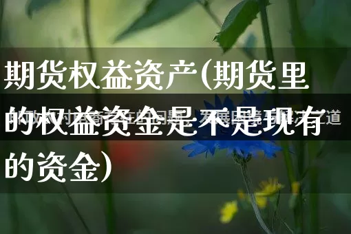 期货权益资产(期货里的权益资金是不是现有的资金)_https://www.rzcpcj.com_天猫运营_第1张