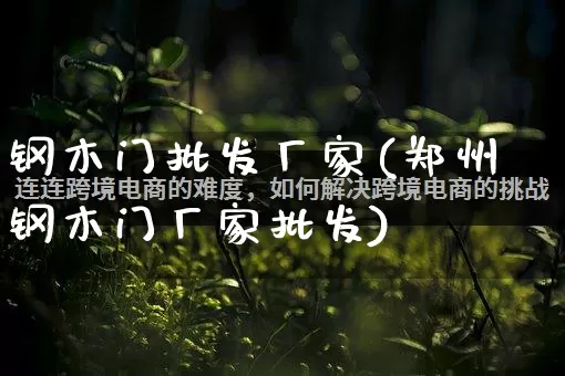 钢木门批发厂家(郑州钢木门厂家批发)_https://www.rzcpcj.com_代运营_第1张